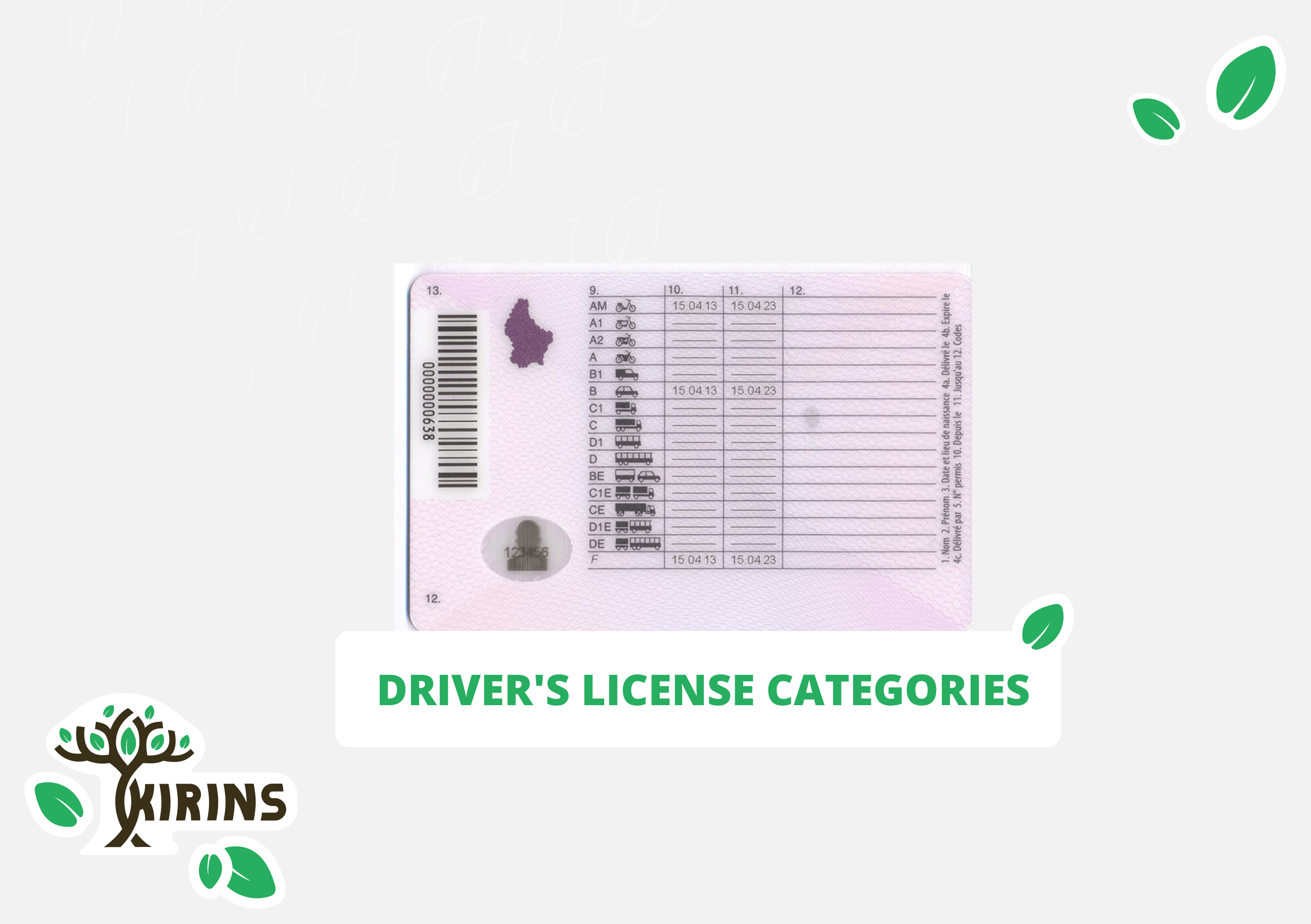 Driver's license categories for different vehicles