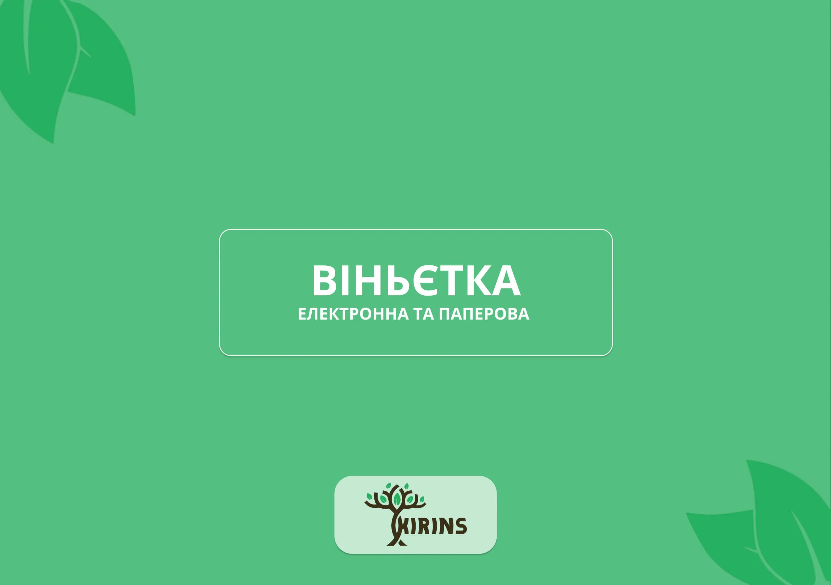 Бумажная и электронная виньетка: недостатки и преимущества