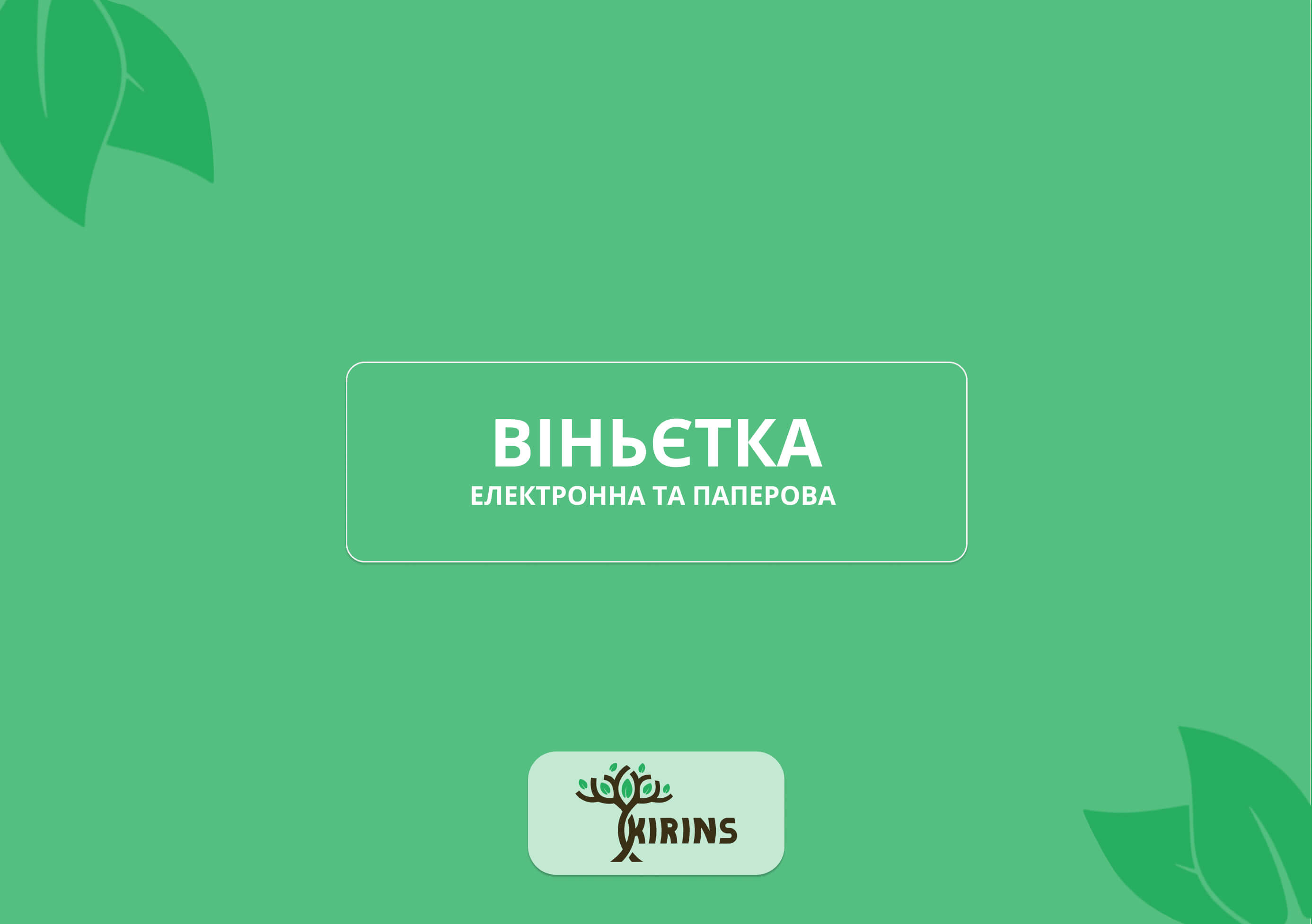 Бумажная и электронная виньетка: недостатки и преимущества