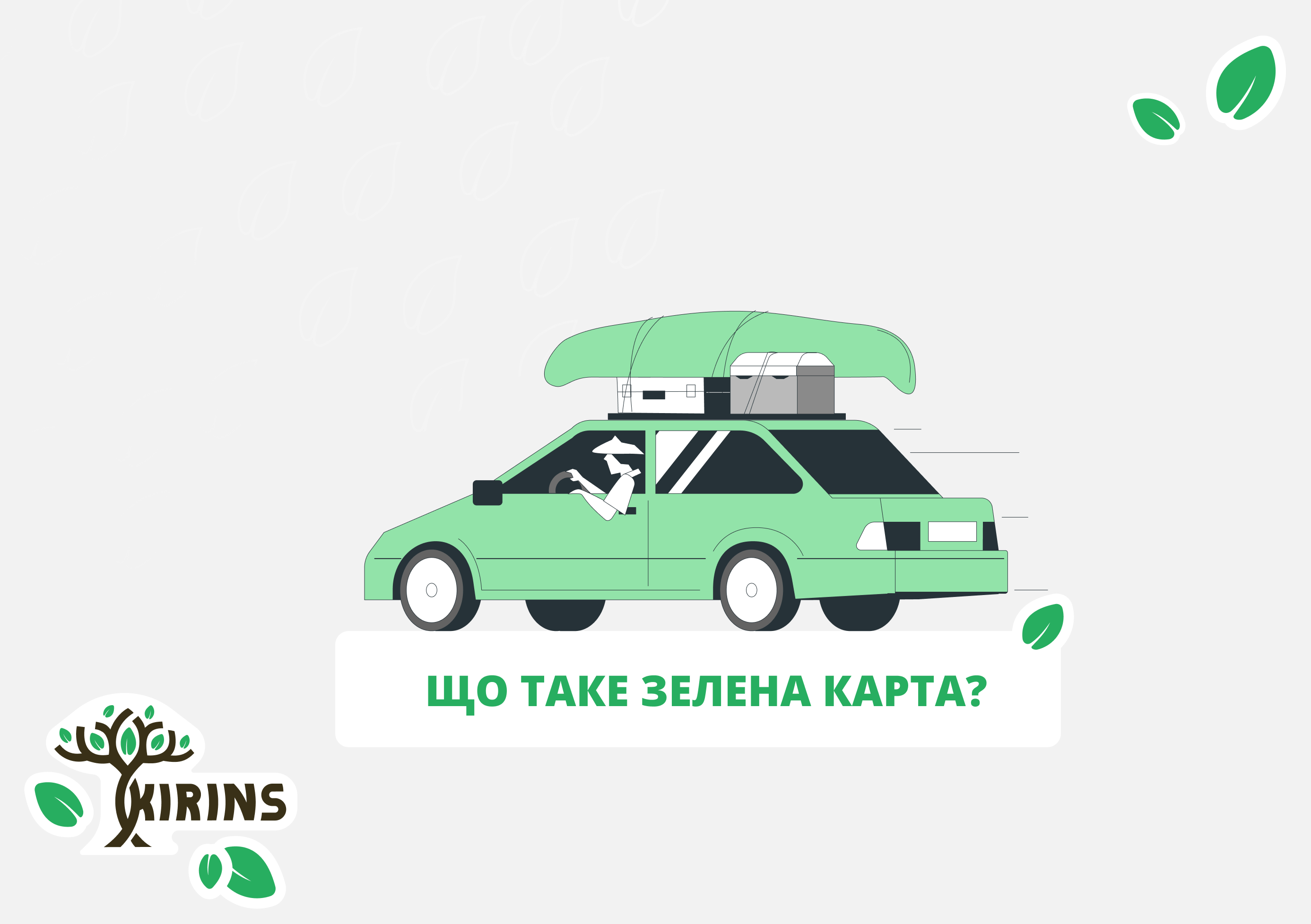 Что такое зеленая карта?