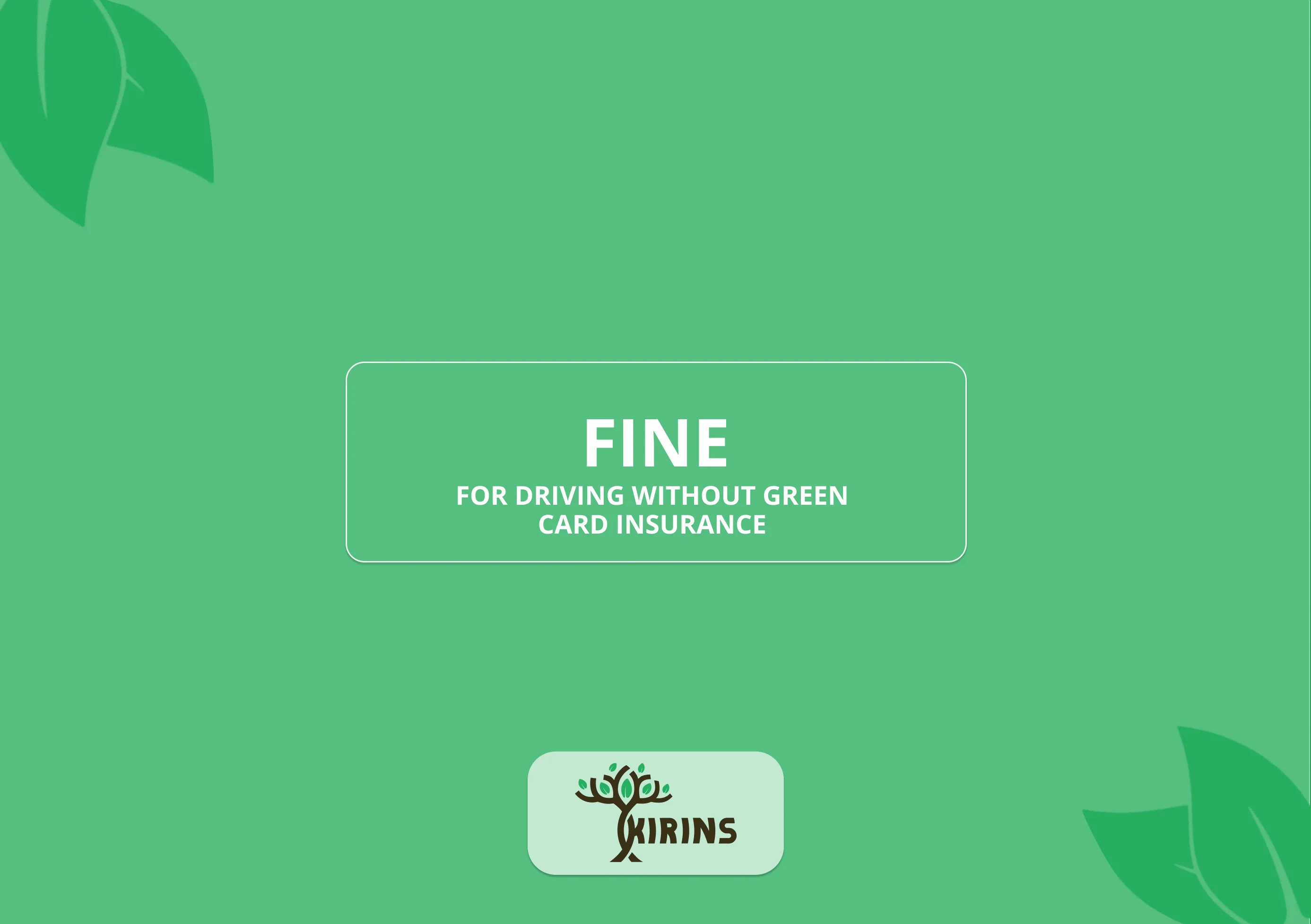 Fine for No Green Card