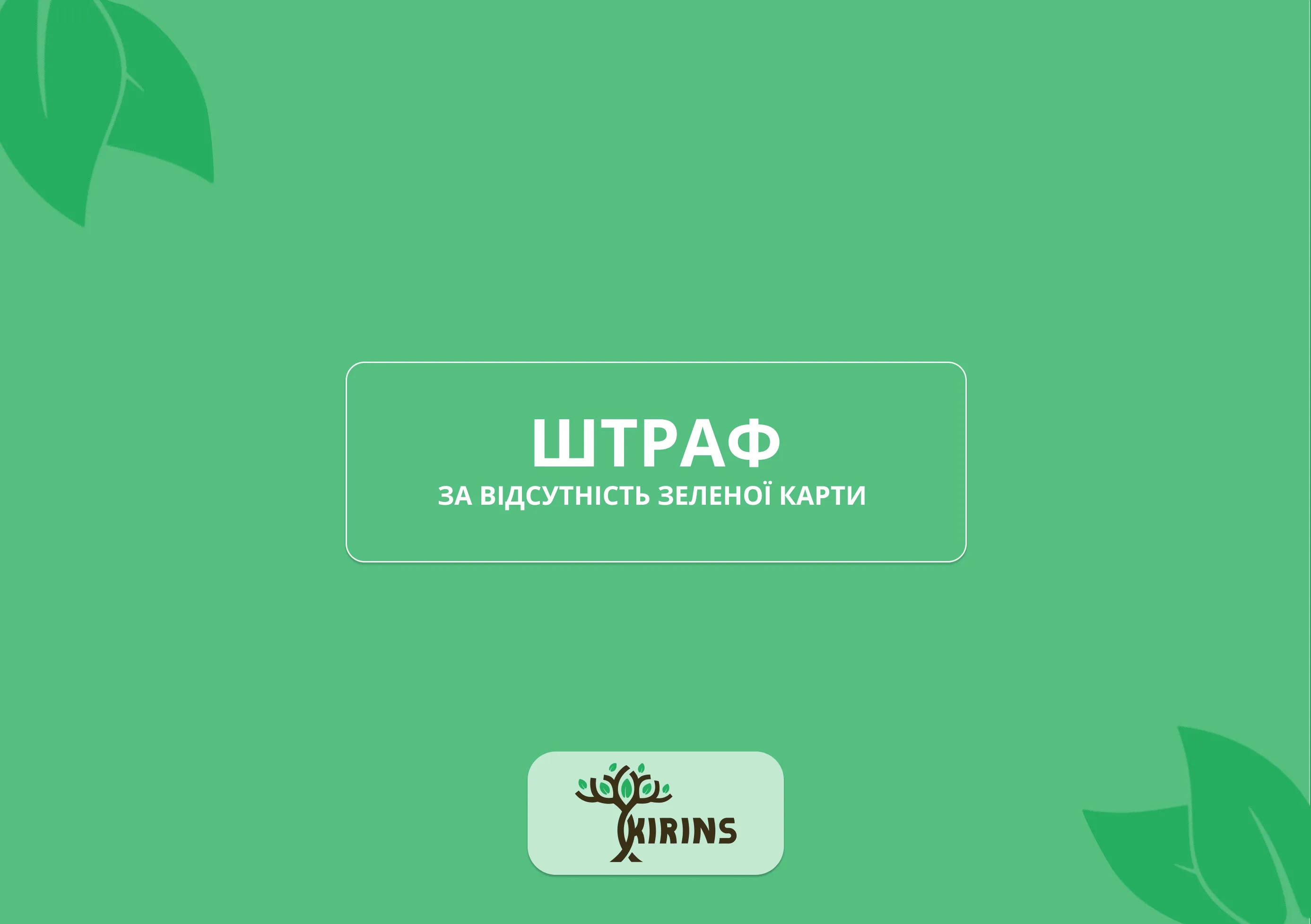 штраф за відсутність зеленої карти